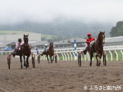 滅多に見られない繋駕レースも組まれた