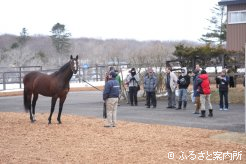 休む間もなく展示されたキングズベスト