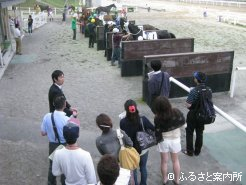 レースを終えた人馬の様子を間近で見学