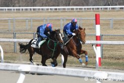5月13日の本番に向け順調な仕上がりを披露