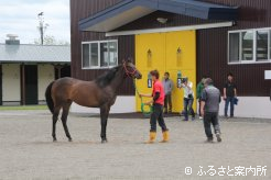 会場外では2歳馬を撮影する取材陣の姿もあった
