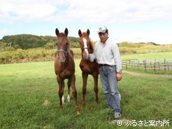 アスカリーブルの生産者・高山正登さんと、高山牧場期待の当歳牝馬。写真左はカナンダクイーン2014(父ディープブリランテ)、写真右はラサンバ2014(父ダイワメジャー)