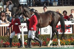 昨年9月には札幌競馬場でお披露目された