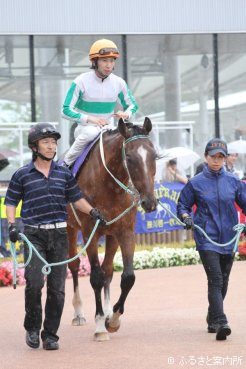 鞍上を務めたのは横山和生騎手