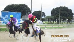 ポニー競馬の様子