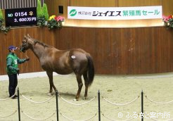 高額2位のレインボークォーツ
