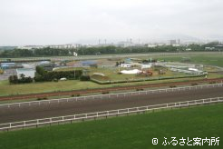 函館山も雲に覆い隠された