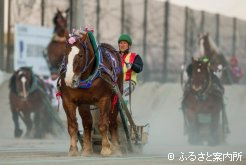 松田道明騎手の技術も光るレースとなった
