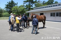 馬とふれあいに笑顔がはじけた