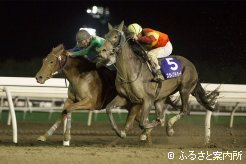 ゴール前の攻防、内で粘ったヒガシウィルウィンが勝利を果たした