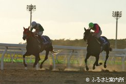 最後の直線はグランプリブラッドとの一騎打ちに