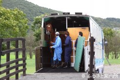 馬運車から降りるタイキシャトル