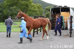 落ち着いた様子にスタッフからも笑みがこぼれる