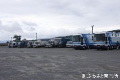 北海道市場の馬積み降ろし場に集合した馬運車