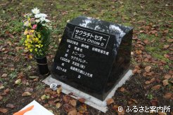 新たに建立されたサクラチトセオーの墓碑
