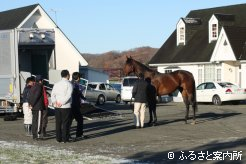 日本ダービー馬のスタッドインには多くの関係者が集まった