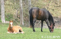 ミスイースター2008～3