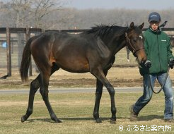 シーザリオ2007～3