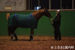 餞別にニンジンを与えられるデビッドジュニア