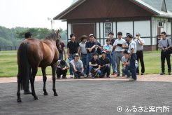 田中弘祐調査役から種牡馬の装削蹄について説明を受けた