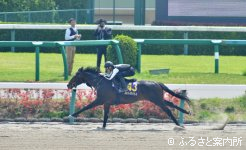 最後の１ハロンを11秒１．圧巻のパフォーマンスを示したバラベルサイユの13