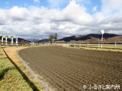 砂を深くした調教コース