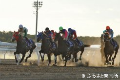 スタート直後からハナを切るアウヤンテプイ