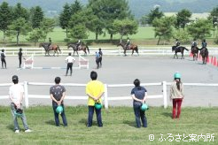 2日目は騎乗訓練の様子を見学
