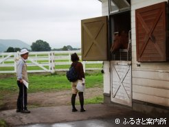 レックススタッドで種牡馬を見学する参加者