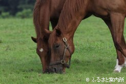 [顔を寄せて]