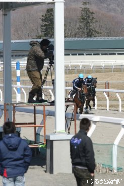 BTC日高育成調教施設の1600mダートトラック馬場で行われた調教ビデオ撮影