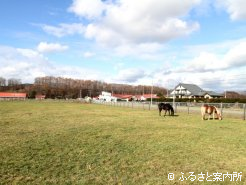 浦河町野深地区に牧場を構える