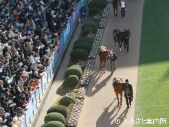 最近のG1出走馬・生産牧場も参加