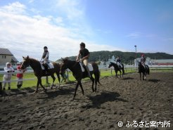 馬と親しみながら交流を深める