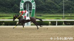 レースの様子(ゴール)