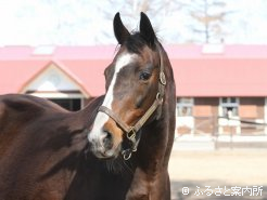 ウインドインハーヘアは初参戦
