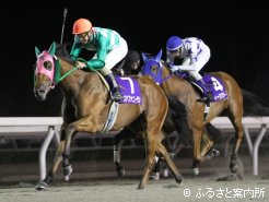 重賞2連勝を果たしたステファニーラン