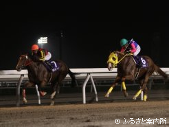 3連勝で重賞制覇を飾ったポップレーベル