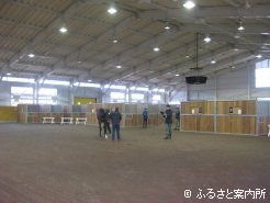 北海道市場内の多目的ホールで実施された検査