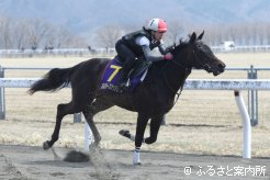 JRA育成馬には育成調教技術者養成研修第37期生も騎乗した