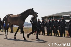 先輩の勇姿を見守る研修生たち