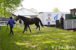 胆振輸出検疫施設到着した2歳馬