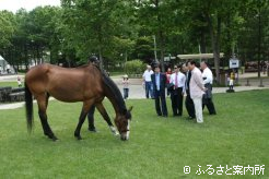 社台サラブレッドクラブ出身のダービー馬ダイナガリバーにも対面した