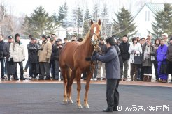 今年の展示会にて