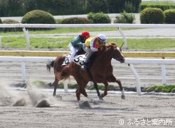 最速タイムを記録したレーヴドゲラン2012(手前)
