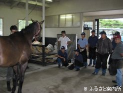 開業装蹄師の指導を受けながら装蹄する15期生