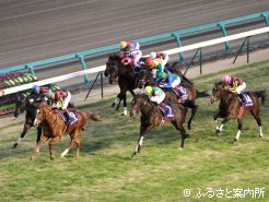 叩き合いを制して優勝