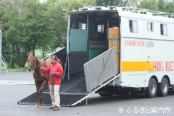 日本軽種馬協会静内種馬場輸出検疫施設に到着したコンデュイット