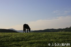 写真２　[丘の上]