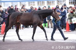第81代日本ダービー馬ワンアンドオンリー